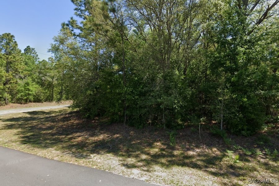 8753 N Zurich Way, Citrus Springs, FL 34434