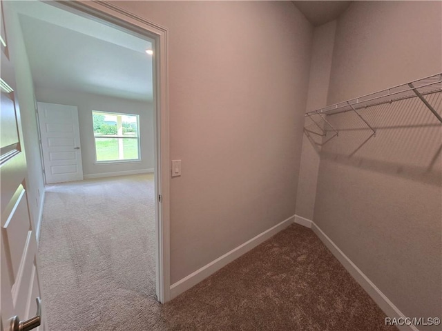 4953 N Triple Eagle Path, Beverly Hills, FL 34465 - walk in closet featuring carpet floors