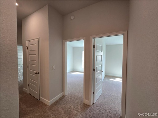 4953 N Triple Eagle Path, Beverly Hills, FL 34465 - corridor featuring carpet flooring