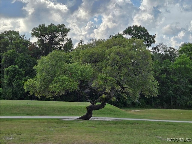 4953 N Triple Eagle Path, Beverly Hills, FL 34465 - view of property's community featuring a lawn