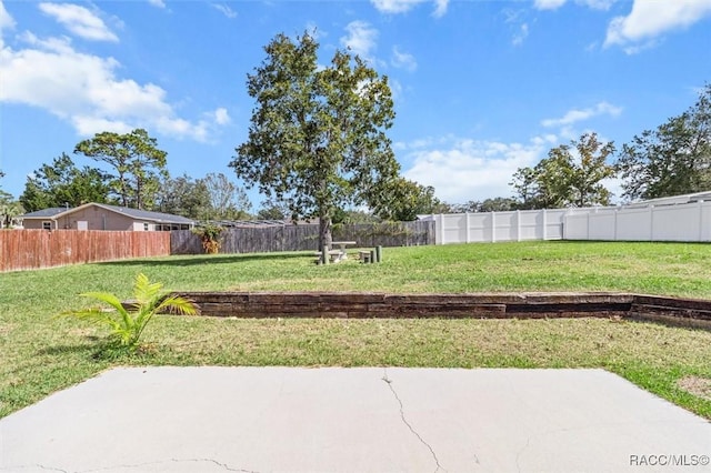 view of yard featuring a patio