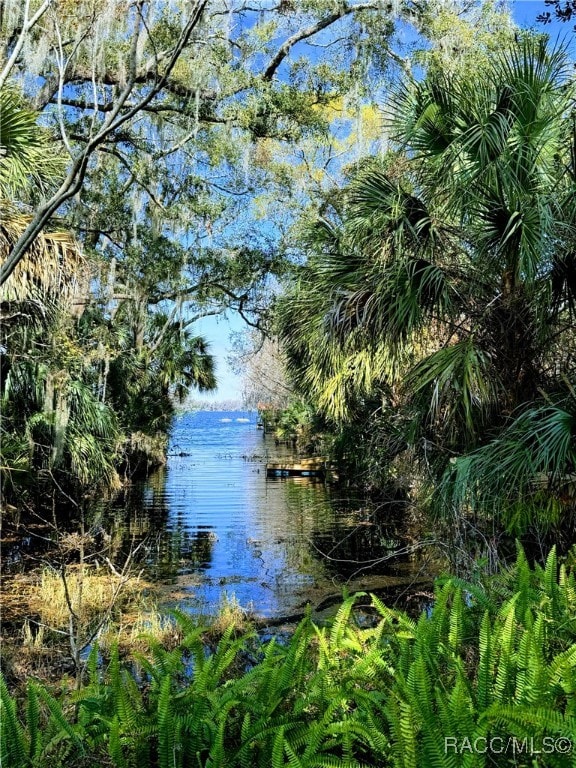 property view of water