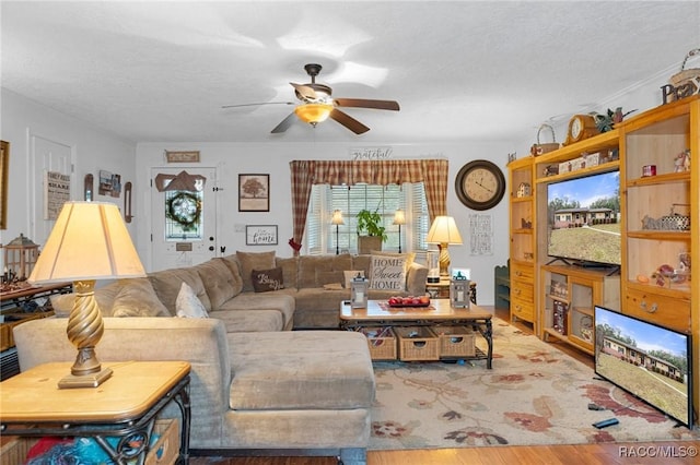 living room featuring ceiling fan and a textured ceiling