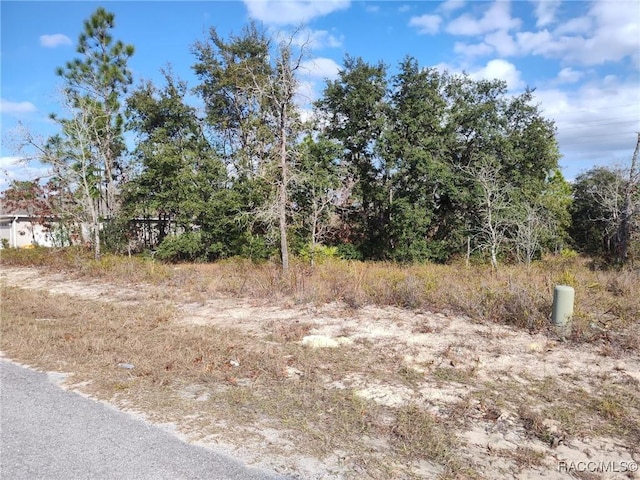 22 Lupine St, Homosassa FL, 34446 land for sale