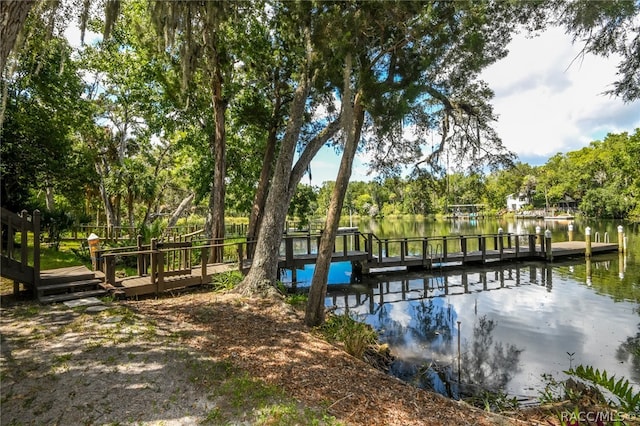 dock area featuring a water view