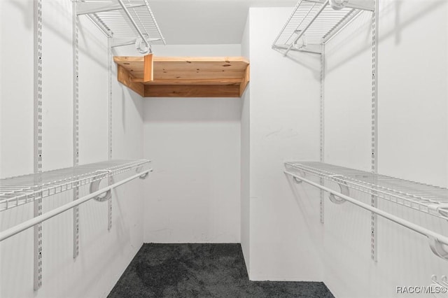 218 N Osceola Ave, Inverness, FL 34450 - walk in closet with carpet floors