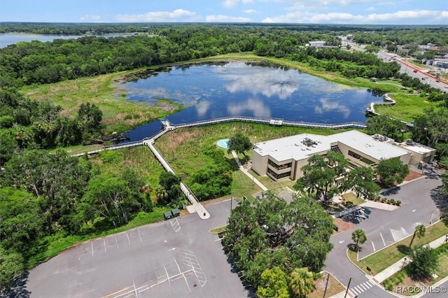 218 N Osceola Ave, Inverness, FL 34450 - bird's eye view of a large body of water and a heavily wooded area