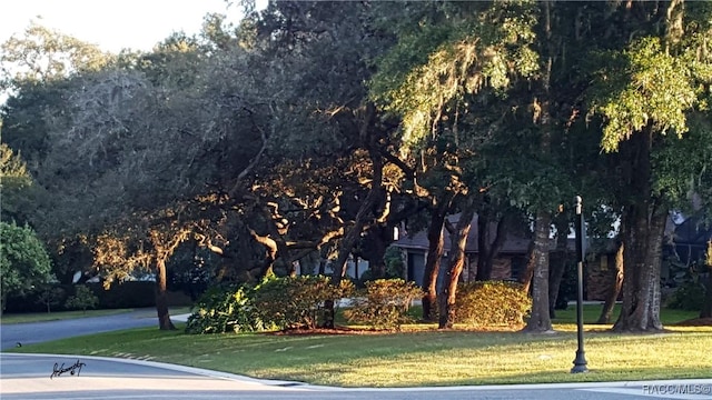 2253 N Heritage Oaks Path, Hernando, FL 34442 - photo 8
