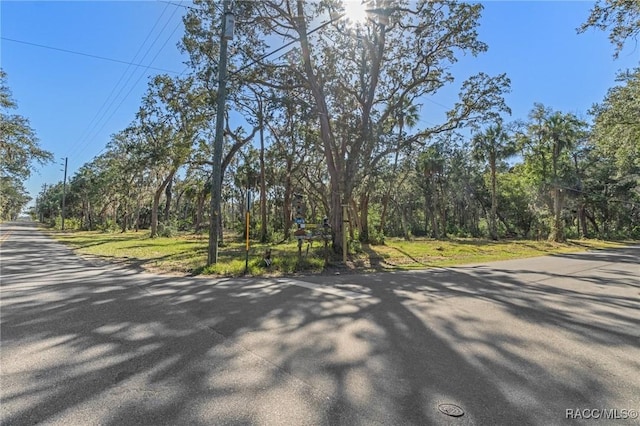 12110 W Standish Dr, Homosassa FL, 34448 land for sale