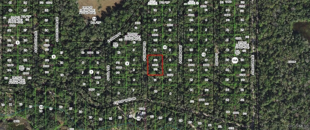4013 S Curlew Ter, Inverness, FL 34450 - photo 1