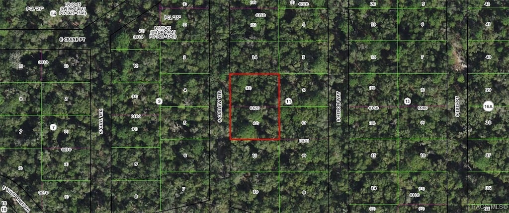 4013 S Curlew Ter, Inverness, FL 34450 - photo 3