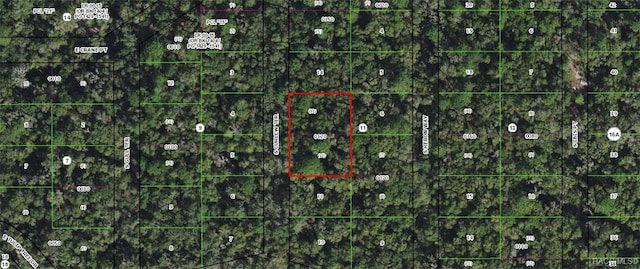 4013 S Curlew Ter, Inverness, FL 34450 - photo 3