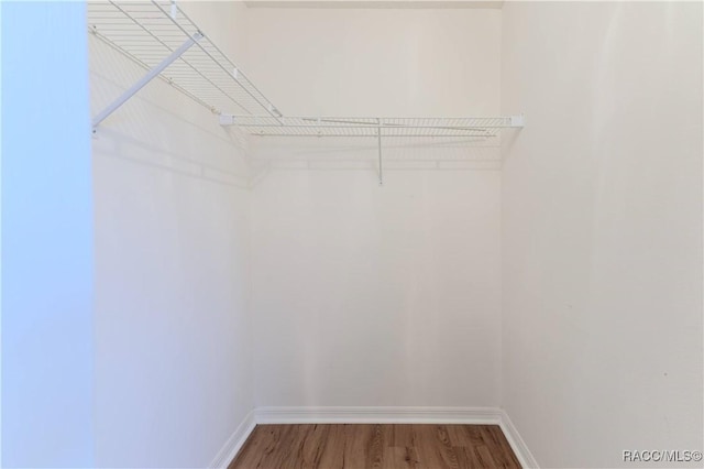 walk in closet with hardwood / wood-style floors