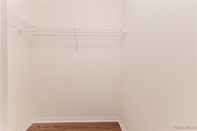 walk in closet featuring hardwood / wood-style flooring