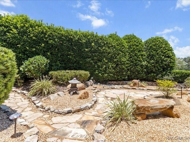 2622 N Carnoustie Loop, Lecanto, FL 34461 - view of yard