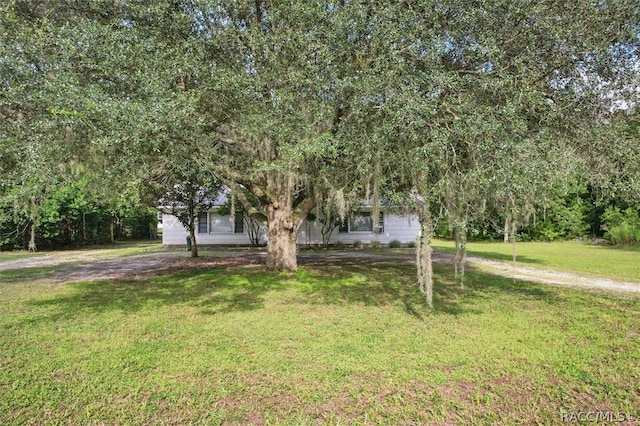 view of property hidden behind natural elements with a front lawn