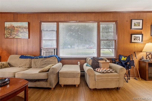 living room with wooden walls and light hardwood / wood-style floors