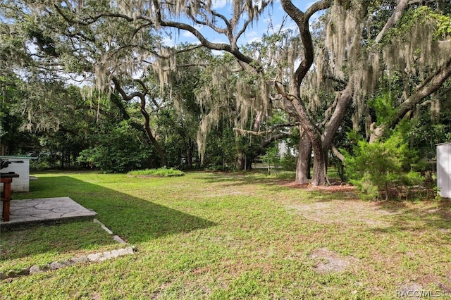 view of yard