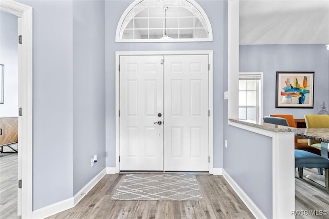 foyer with wood-type flooring