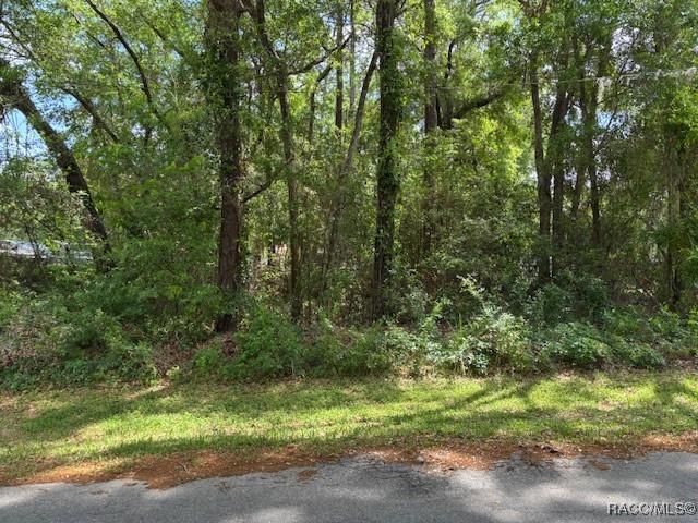 4229 S Canton Ter, Inverness, FL 34452