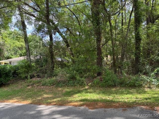 4229 S Canton Ter, Inverness, FL 34452