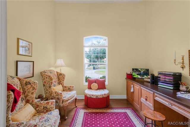 sitting room featuring light wood-type flooring