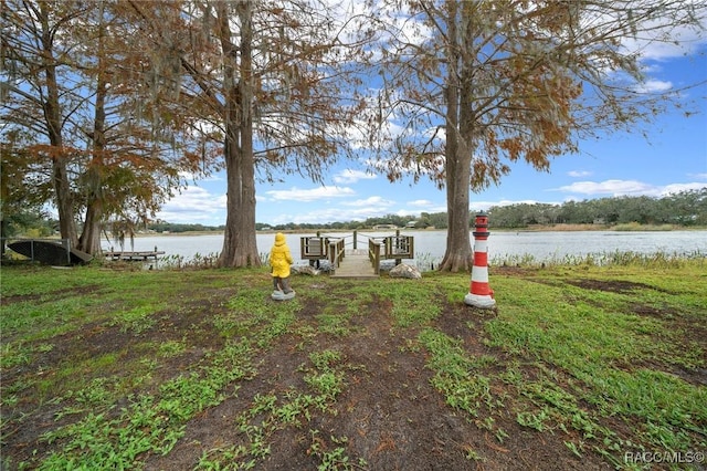 view of yard with a water view and a dock