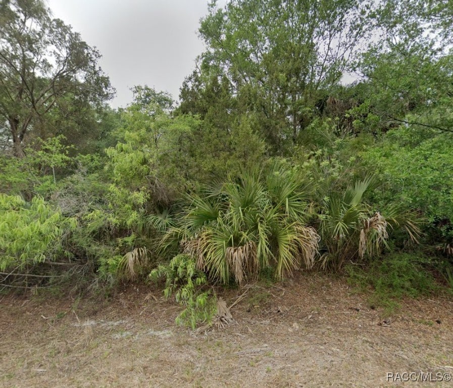 8272 N Maple Ave, Crystal River, FL 34428 - photo 1