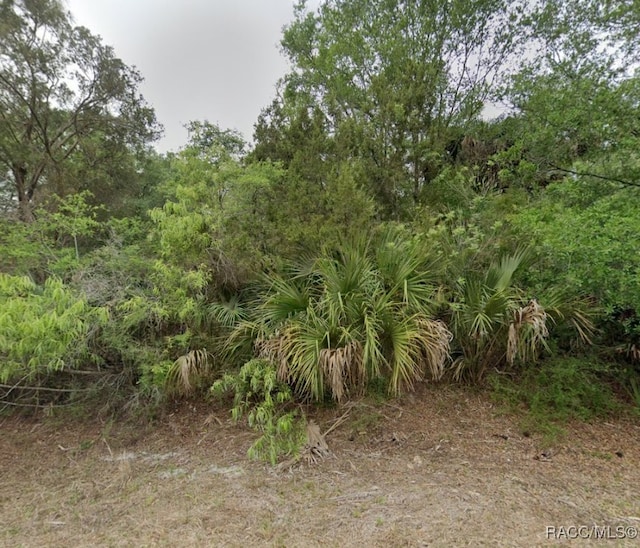 8272 N Maple Ave, Crystal River, FL 34428 - photo 1