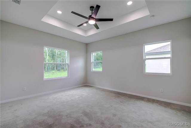 empty room featuring light carpet, a raised ceiling, and a healthy amount of sunlight