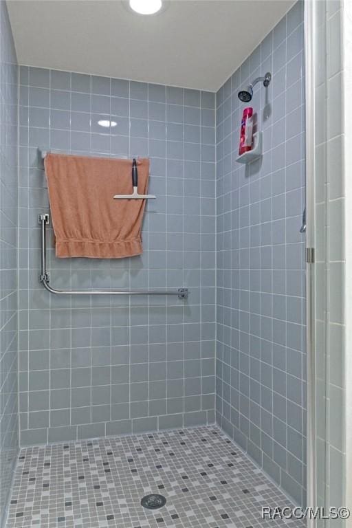 3621 N Lucille Dr, Beverly Hills, FL 34465 - full bath featuring a stall shower
