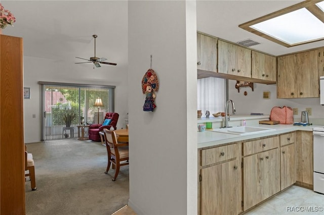 3621 N Lucille Dr, Beverly Hills, FL 34465 - kitchen with a sink, open floor plan, light countertops, light colored carpet, and ceiling fan