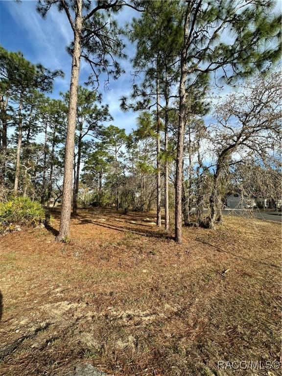 Listing photo 2 for 2 Barkwood Pt, Homosassa FL 34446