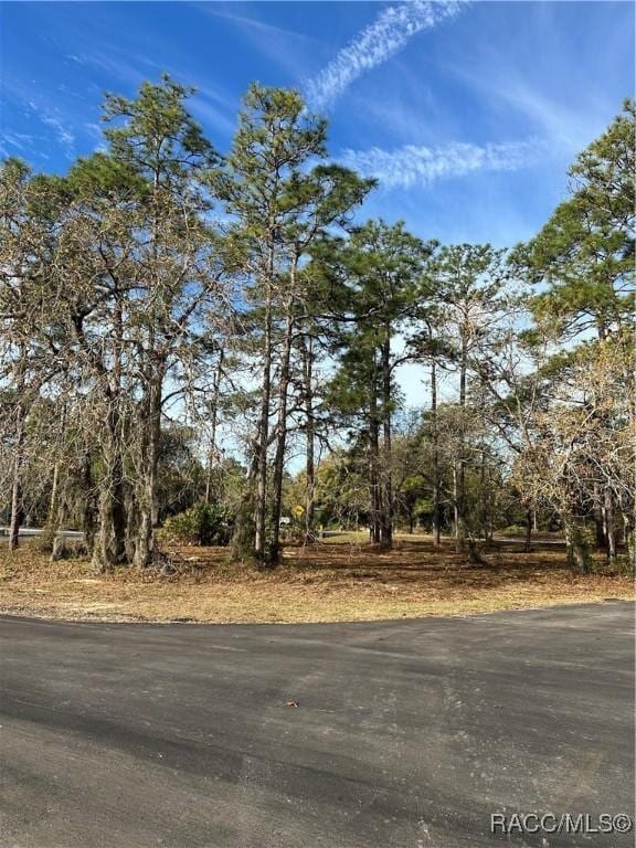 Listing photo 3 for 2 Barkwood Pt, Homosassa FL 34446