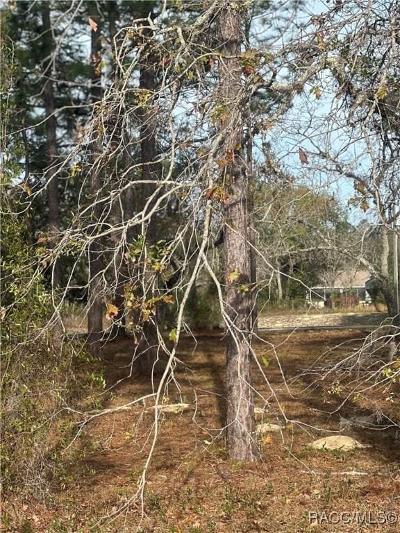 2 Barkwood Pt, Homosassa FL, 34446 land for sale