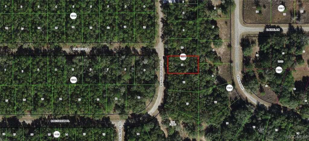 8329 N Wallingford Ave, Citrus Springs, FL 34434
