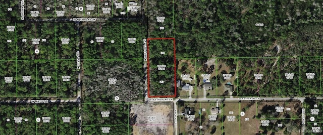 1251 N Gregory Ave, Crystal River, FL 34429 - photo 3