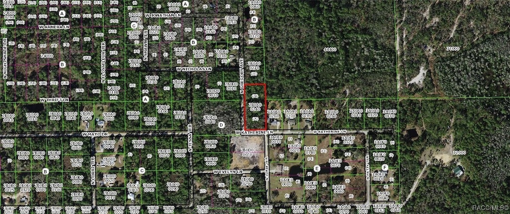 1251 N Gregory Ave, Crystal River, FL 34429 - photo 1