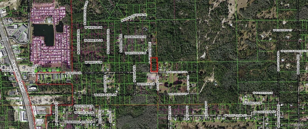 1251 N Gregory Ave, Crystal River, FL 34429 - photo 2