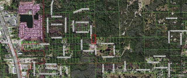 1251 N Gregory Ave, Crystal River, FL 34429 - photo 2
