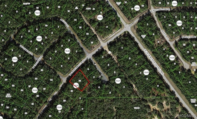 532 W G Martinelli Blvd, Citrus Springs FL, 34434 land for sale