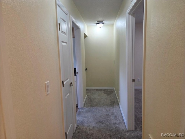933 N Rembrandt Way, Inverness, FL 34453 - corridor with carpet flooring and baseboards