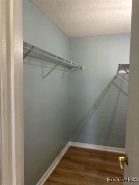 walk in closet featuring hardwood / wood-style flooring