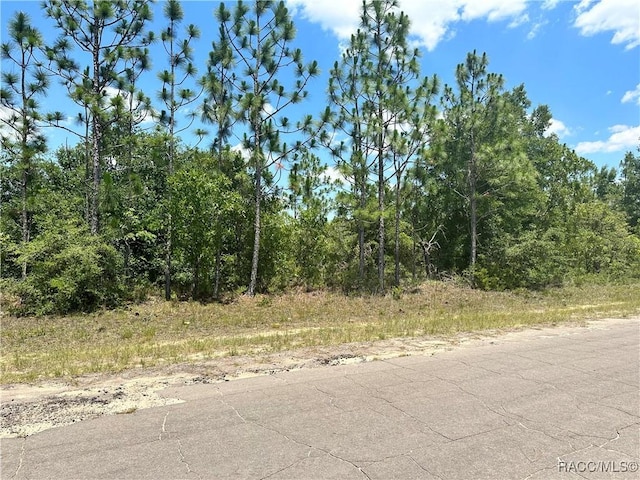 Listing photo 3 for 000 Cavallier Dr, Chipley FL 32428