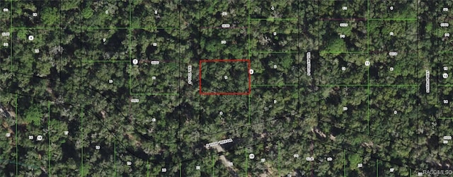 4029 S Gull Ter, Inverness FL, 34450 land for sale