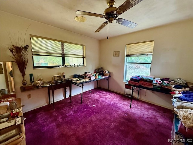 2750 W Mustang Blvd, Beverly Hills, FL 34465 - carpeted office featuring healthy amount of natural light and ceiling fan