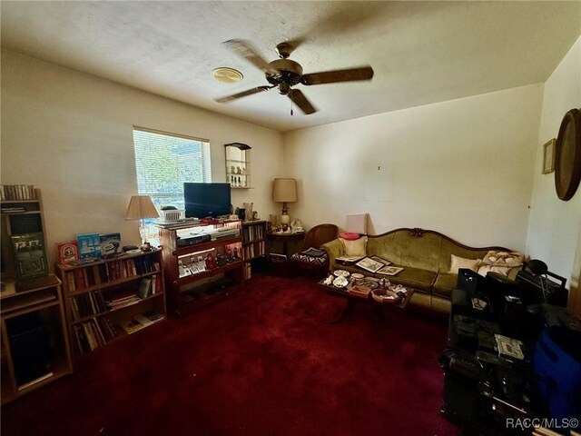 2750 W Mustang Blvd, Beverly Hills, FL 34465 - carpeted office with ceiling fan