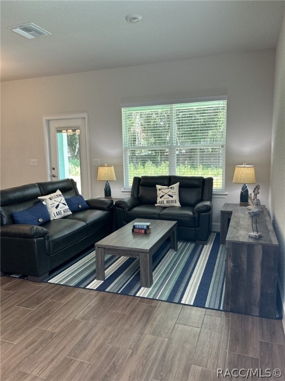 living room with wood-type flooring