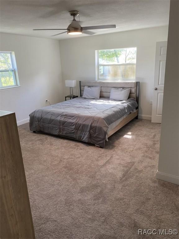 97 S Adams St, Beverly Hills, FL 34465 - photo 32