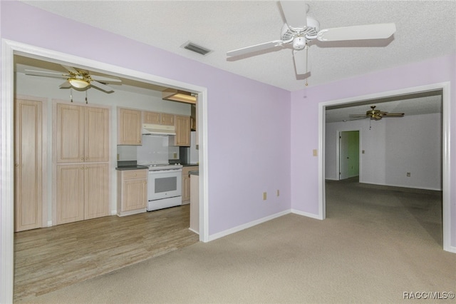 unfurnished living room with light hardwood / wood-style flooring and a textured ceiling